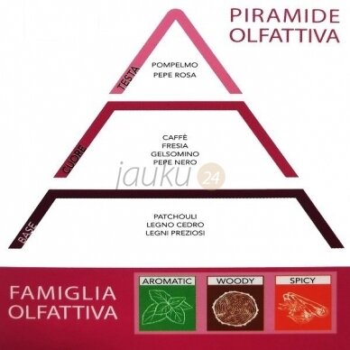 Itališkas namų kvapas THD Botanic pepe rosa e coffe 120 ml. ( rožinių pipirų ir kavos aromatas) 2